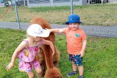 357712809_977303703623040_1816535434874375644_n