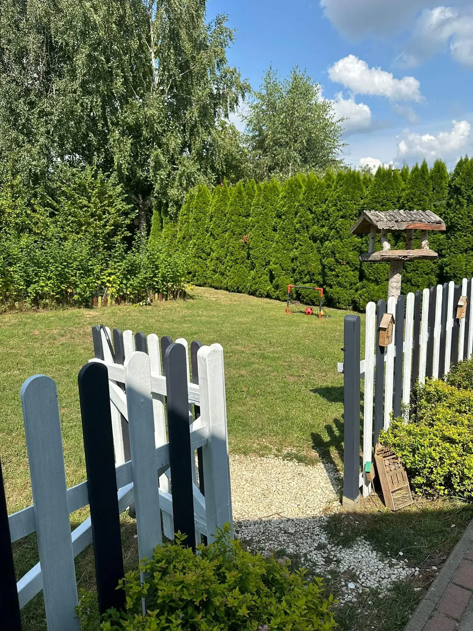 Zdjęcie 1 z galerii