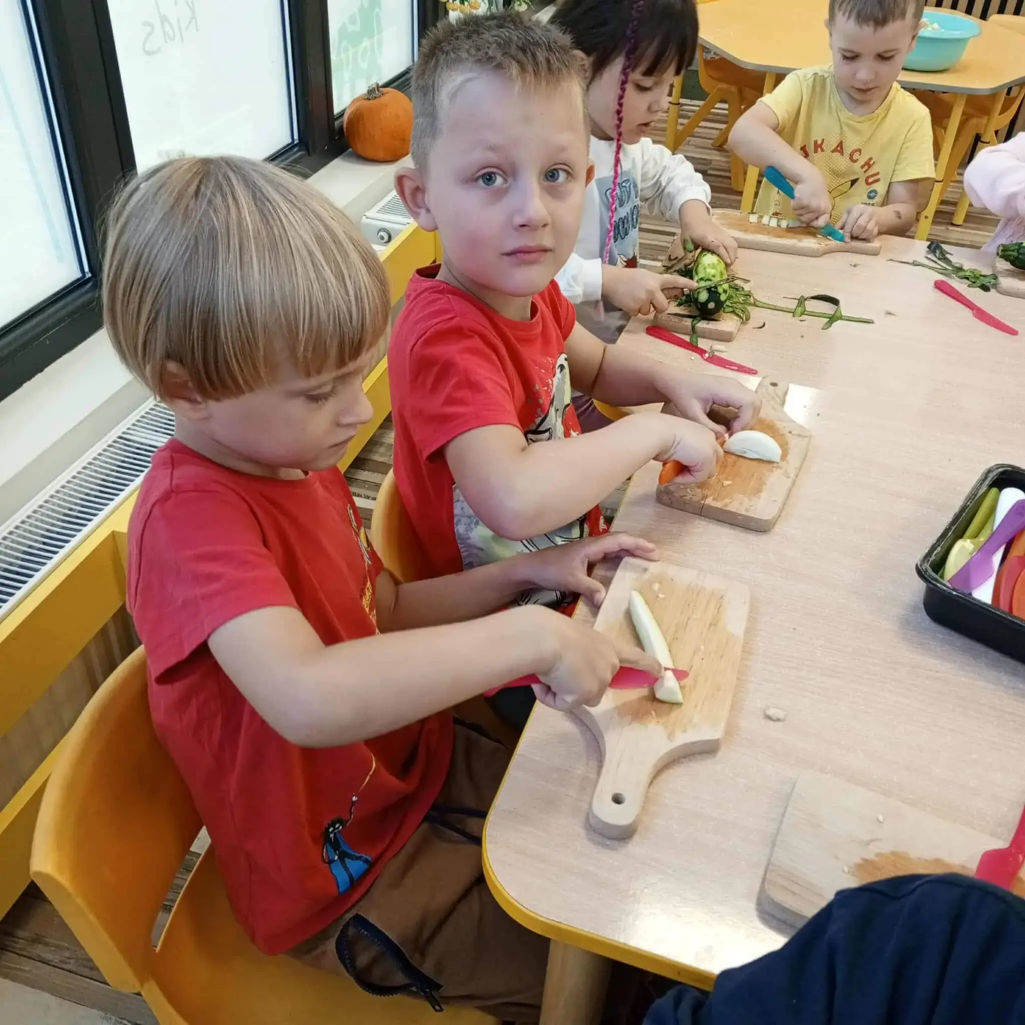 Zdjęcie 16 z galerii